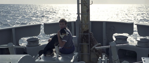 un-marin-et-le-chien-du-navire-jpg