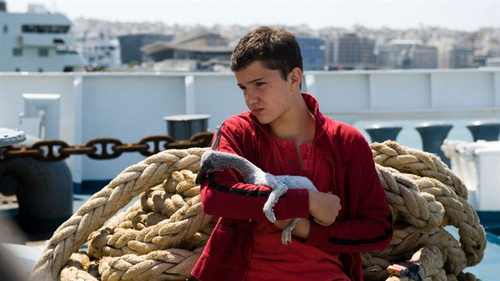 thibault-le-guellec-et-le-bebe-pelican-jpg