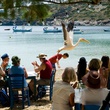 thibault-le-guellec-et-son-pelican-jpg