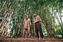 thomas-ngijol-et-fabrice-eboue-jungle-jpg