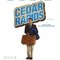 Affiche du film Bienvenue à Cedar Rapids   - Bienvenue à Cedar Rapids  