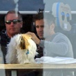 colin-farrell-jpg