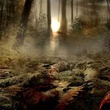 la-foret-jpg