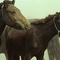des-chevaux-jpg - Les Deux chevaux de Gengis Khan  