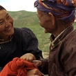 urna-chahar-tugchi-et-chimed-dolgor-jpg
