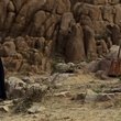 urna-chahar-tugchi-et-son-violon-jpg