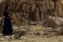 urna-chahar-tugchi-et-son-violon-jpg