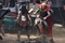 thor-et-son-fidele-compagnon-le-marteau-jpeg