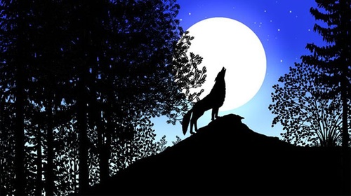photo-6-du-film-les-contes-de-la-nuit-jpg