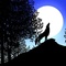 photo-6-du-film-les-contes-de-la-nuit-jpg - Les Contes de la nuit  