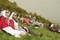 photo-du-film-lourdes-jpg