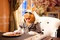 peggy-a-table-jpg