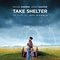 affiche-francaise-take-shelter-jpg - Take Shelter 