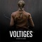 Affiche du film Voltiges  - Voltiges 