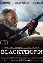 Affiche miniature du film Blackthorn