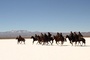 une-chevauchee-jpg