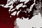 affiche-teaser-les-miserables-jpg