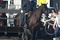 tournage-du-film-les-miserables-png