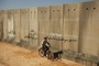 photo-10-du-film-le-cochon-de-gaza-jpg