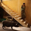 photo-7-du-film-le-cochon-de-gaza-jpg
