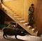 photo-7-du-film-le-cochon-de-gaza-jpg - Le cochon de Gaza  