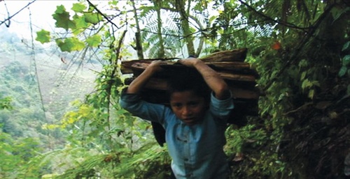 un-enfant-qui-porte-du-bois-jpg