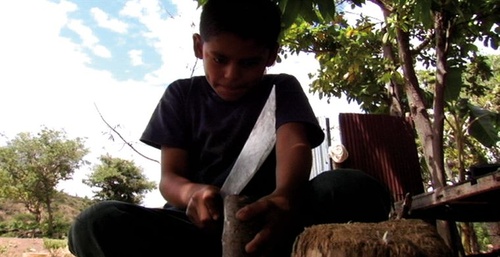 un-enfant-qui-travaille-jpg