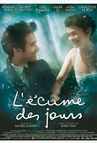 Affiche miniature du film L'écume des jours