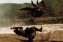 combat-jpg