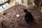 jafar-panahi-jpg