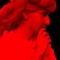 photo-5-du-film-nos-plusieurs-jpg - Nos Plusieurs 