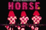 Affiche du film Crazy Horse 