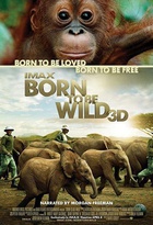 Affiche miniature du film Born to be Wild 3D