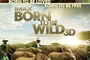 Affiche du film Born to be Wild 3D 