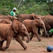 des-elephanteaux-jpg