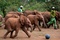 des-elephanteaux-jpg