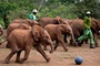 des-elephanteaux-jpg