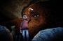 jonathan-et-l-ours-jpg