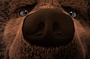 le-gros-ours-jpg
