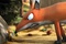 une-souris-et-un-renard-jpg
