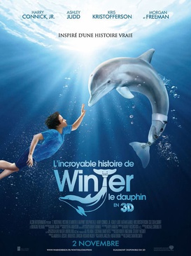 Affiche du film L'incroyable histoire de Winter le Dauphin