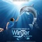 Affiche du film L'incroyable histoire de Winter le Dauphin  - L'incroyable histoire de Winter le Dauphin 