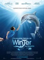 L'incroyable histoire de Winter le Dauphin