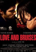 Affiche miniature du film Love and Bruises