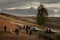 paysage-rassemblement-jpg
