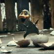 naissance-canard-jpg