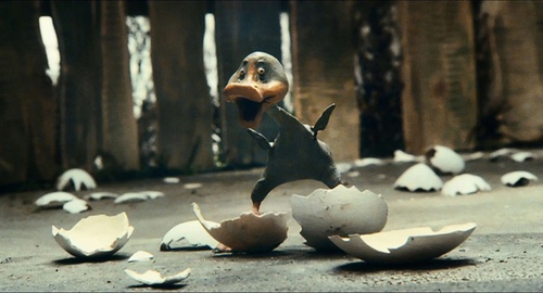 naissance-canard-jpg