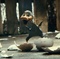 naissance-canard-jpg - Le vilain petit canard (2011) 