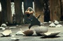 naissance-canard-jpg