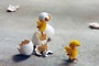 poussin-jpg